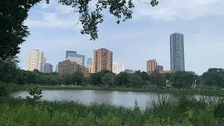 Loring Park | Minneapolis, MN | July 2023