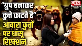 Supreme Court On Stray Dogs: Dog Bite  पर क्या बोले लोग, देखिए Ground Report  | Bharat Express