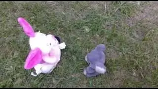 Stop Motion Animation (Piglet's Life)