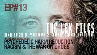 Yarelix Estrada on Psychedelic Harm Reduction, Racism & the War on Drugs | The Lex Files