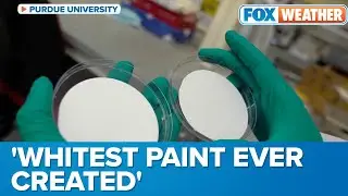 'Whitest Paint Ever Created': New Reflective Paint Would Direct Heat Away From Homes
