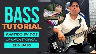 Partido en Dos - La Única Tropical - Tutorial de bajo (Paso a paso)
