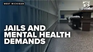 'It's a revolving door': Michigan jails struggle with mental health demands