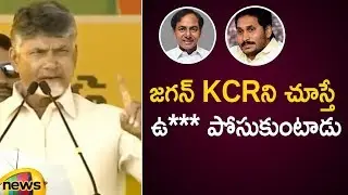 AP CM Chandrababu Naidu Controversial Comments On YS Jagan And KCR | TDP Public Meeting | MangoNews
