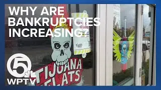 Why are Chapter 11 bankruptcies increasing?