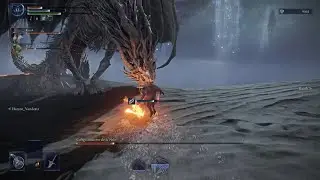 ELDEN RING NIGHTREIGN might be the best fights i've ever experienced