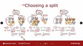C2W4L04 Choosing a split Information Gain