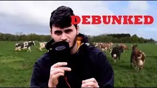 Anti-Vegan Arguments Debunked