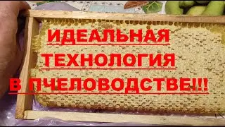 Ч.2.  МАЛОФОРМАТНАЯ РАМКА !!!  ЭТО ИДЕАЛЬНАЯ ТЕХНОЛОГИЯ В ПЧЕЛОВОДСТВЕ !!!