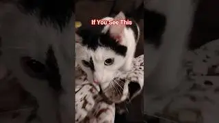 HEY BESTIEEES!!!