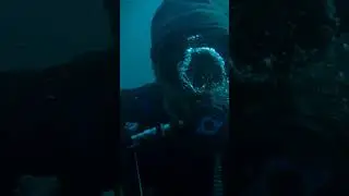 Magic Ring #underwater #scuba #bubblering #bubble #ring #instructor #pro #trick #magic #mask