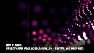 Souldynamic feat. Adeola Shyllon - Revival (Promo Movie)