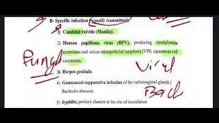 Diseases of vulva : bns