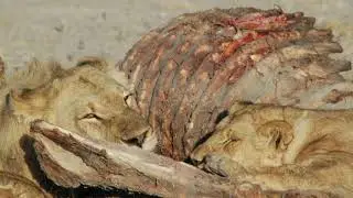 Dr. Meyer and Valentin Gruener on Human-Wildlife Conflict