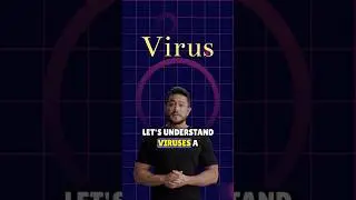 What is a computer virus? 