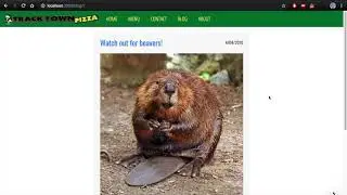 Track Town Pizza Website Progress Video