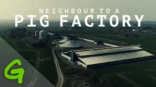 Neighbour to a Pig Factory