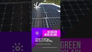Go Green With Solar