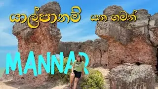 Jaffna යන ගමන් Mannar ගියා | The Best Places to Visit in Mannar Island Sri Lanka