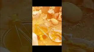 Hannalake picnic balochistan #nationalpark #duet #balochistan #hannalake #vlog #viral #foryou
