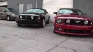 mustang gt 2005