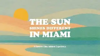 The Sun Shines Different in Miami | 2025 Official Trailer #mindfulness #peace