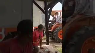 How to Solve Problems with Dry Plants #viral #shortvideo #viralshorts #short #shortsfeed #fyp #short