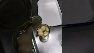 Canned Mushroom supplier from China
