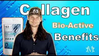 Collagen Benefits And The Extracellular Matrix