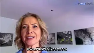 Client Review | Wix Web Expert