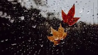 New rain WhatsApp status video | #rain | #tamilsong | #whatsappstatus