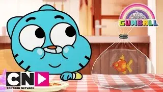 The Amazing World of Gumball | Flushing The Fish | Cartoon Network