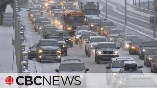 Driving tips to help you steer through winter
