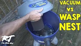 Removing Yellow Jackets From Inside My Wall With Shop Vac Vacuum - Wasps Suck!