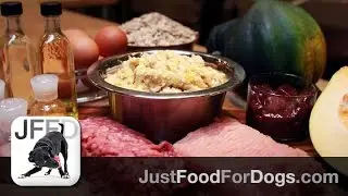 Support Diets For Dogs: Metabolic Support Low Fat | JustFoodForDogs