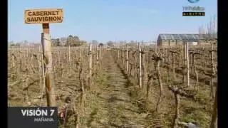 Visi&oacute;n Siete: Microemprendimiento argentino