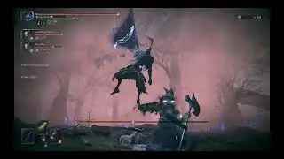 Depth 5 Triple Wylder vs Artorias
