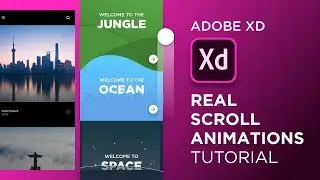 Настоящая анимация прокрутки в Adobe XD! — Design Weekly