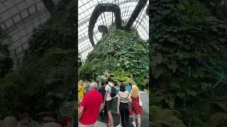 Avatar, The Experience at Cloud Forest, Gardens By The Bay.