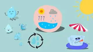 🌊 Plitsch erklärt den Wasserkreislauf 🌦️ | Kindgerechtes Lernvideo für Grundschule & Kinder