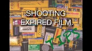 MUST KNOW Tips for Shooting Expired Film