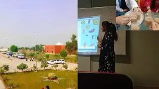 A Random Day At My University| Institute Of Pharmacy| SMBBMU Larkana