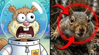 SpongeBob LIED About Sandy? (The Truth About Squirrels)