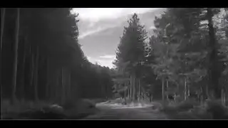 Foresta Magica- (C. Coglitore) Original Riffs  and Double Memories