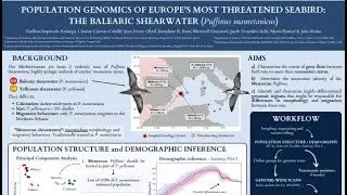 Population genomics of Europe's most threatened seabird (Puffinus mauretanicus)