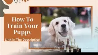 brain training for dogs download   adrienne farricelli top brain training for dogs tecniques