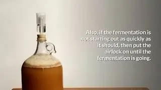 Do You Have To Use An Airlock When Fermenting?  &raquo; HomeBrewAdvice.com