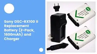 Sony DSC-RX100 II Replacement Battery (2-Pack, 1600mAh) and Charger