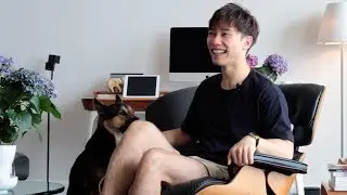 Meet Jason Wong , Dog Fosterer
