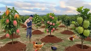 Chairman Trieu Grows A Fruit Garden – Harvests Homegrown Vegetables To Cook